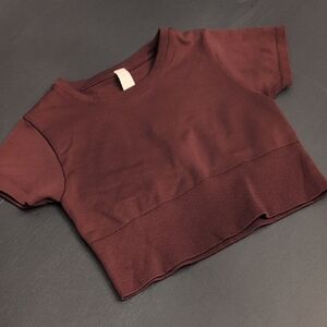 Aerie Brown Crop Top